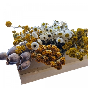 Dried flowers DIY box assorti 45-65cm