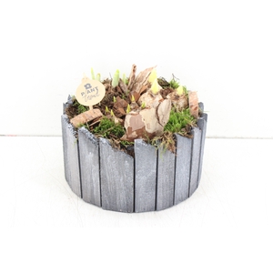 arr.. Bollenmix PL - Steigerhout ro
