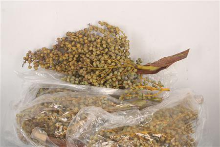 <h4>Dadels 5 Kilo Per Stuk</h4>