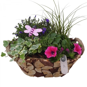 PTPP7024 Arrangement Patio in houten ovale bak