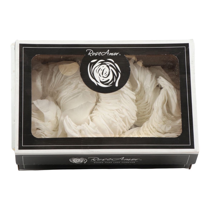 <h4>Rosa Preserved Petals Whi 01</h4>