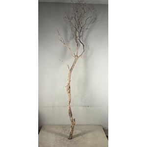 Manzanita Sandblasted 210cm