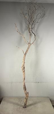 <h4>Manzanita Sandblasted 210cm</h4>