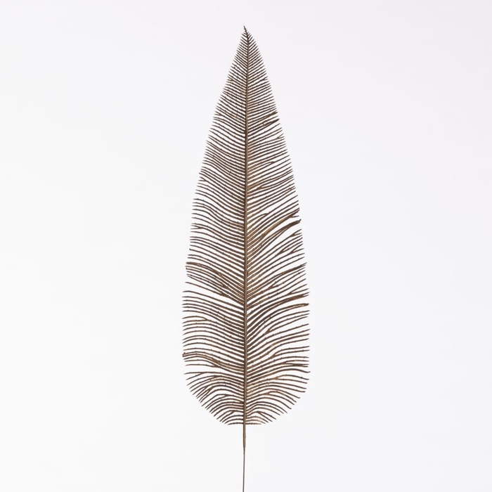 AF Fern Dried L71cm Brown