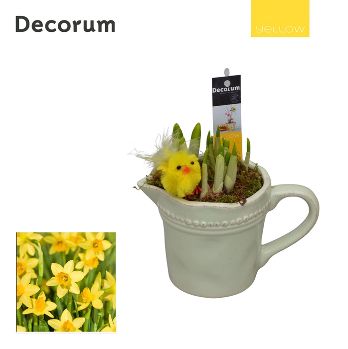 <h4>Narcis Little Jug HL11335 [YELLOW]</h4>