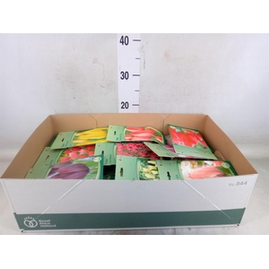 Flowerbulbs, corns or tubers   ...