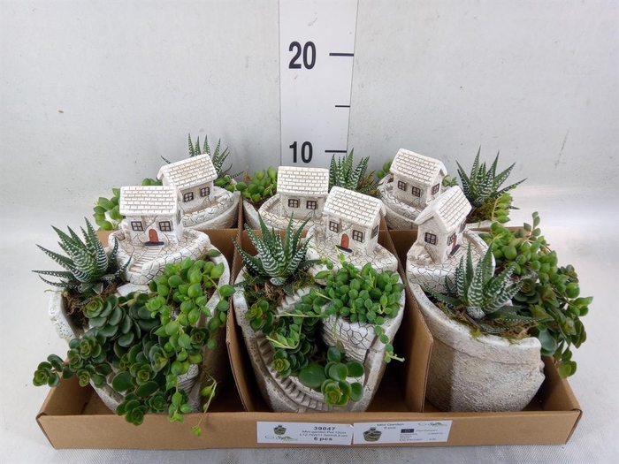 <h4>Arr.   Kamerplant Groen L%</h4>