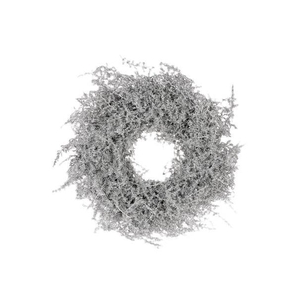 Wreath Asparagus Glitter D30