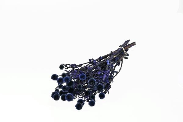 <h4>Echinops Preserved Natural Blue</h4>