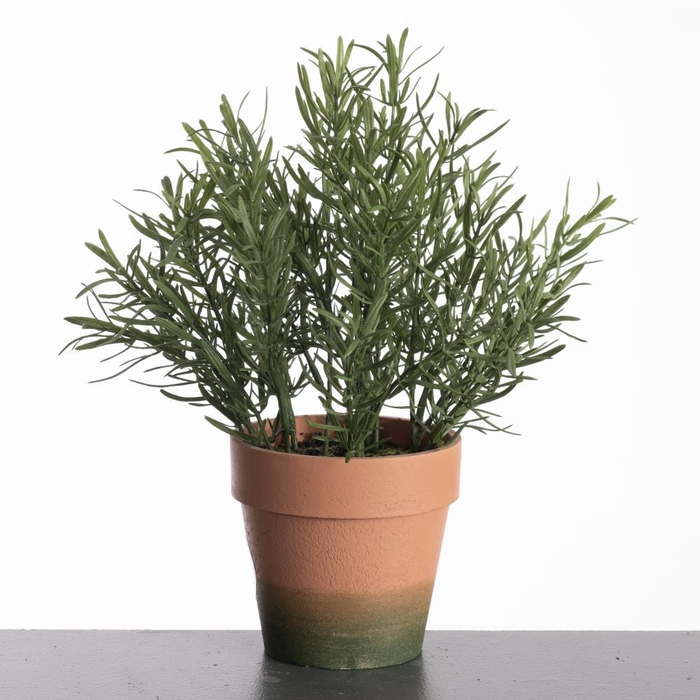 <h4>AF Rosemarinus pot H29cm Green</h4>