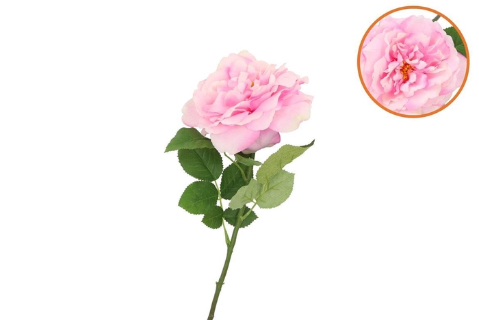 <h4>Silk Wild Rose Pink Single 65cm</h4>