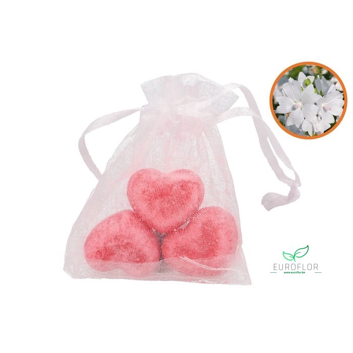 <h4>AMBER HEART MINI INVICTO 3PCS</h4>