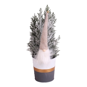 Christmas Arr. Conifer Zinc Grey/GoldWhite ø10cm 1PP