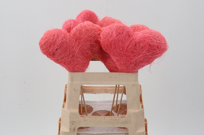 <h4>Pink Cocos Fiber Hearts</h4>