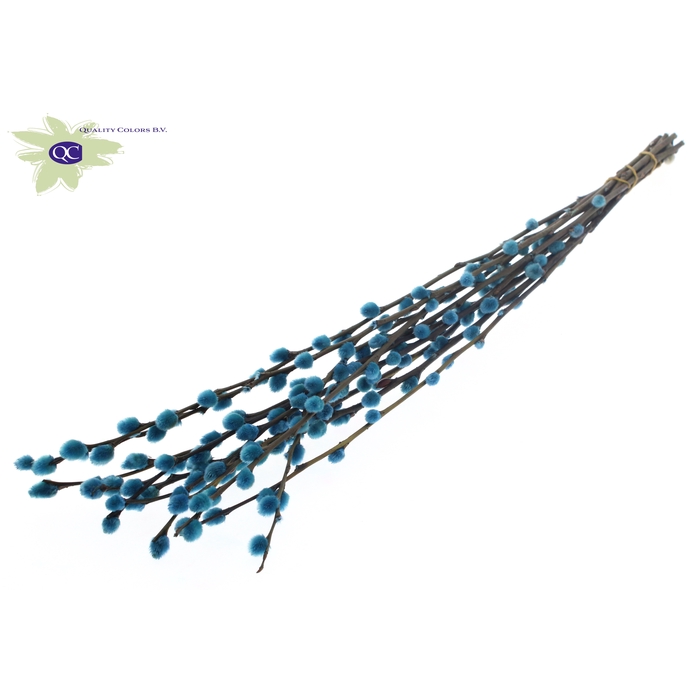 <h4>Pussy Willow 80cm Light Blue</h4>