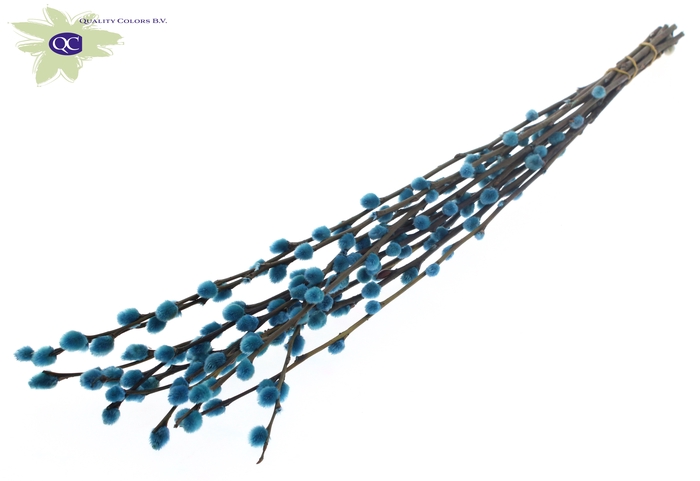 <h4>Pussy Willow 60cm Light Blue</h4>
