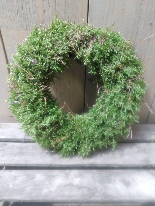 <h4>KRANZ 16 MOOS 25CM</h4>