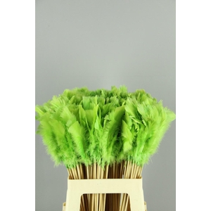 Stick Feather Apple Green 14cm