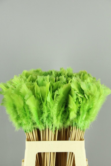 <h4>Stick Feather Apple Green 14cm</h4>