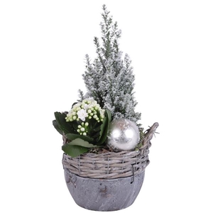 Christmas Arr. Indoor Willow Basket Ceramic Bottom Ø14cm 2PP