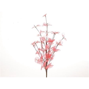 BRANCH EUCA CINEREA L40W25 pink