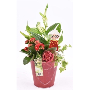 Zink pot rood met hart 18cm