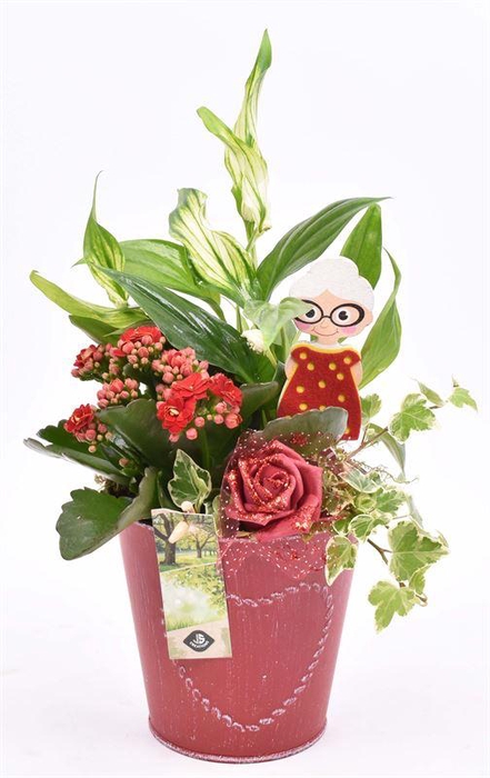 <h4>Zink pot rood met hart 18cm</h4>