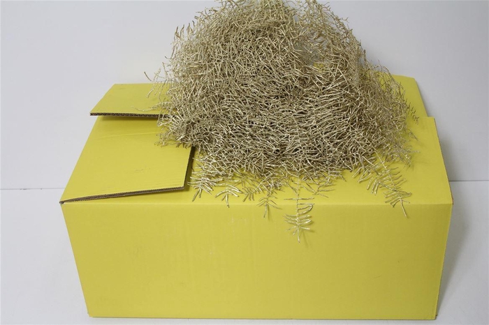 <h4>Koraalvaren Kleurbehandeld Goud (p. Bos)</h4>