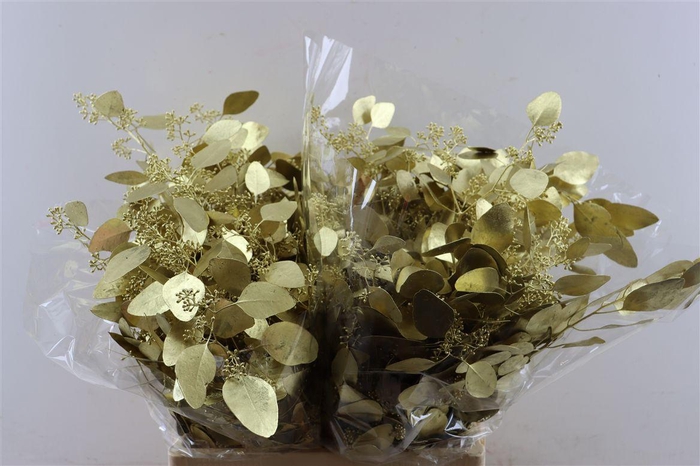 <h4>Euca Populus Berry Gold P Buch</h4>