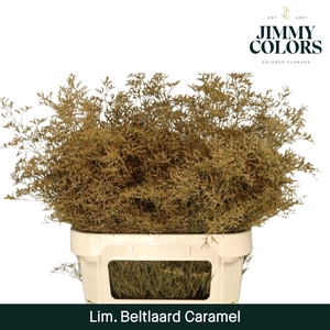 Lim Bel L90 Caramel