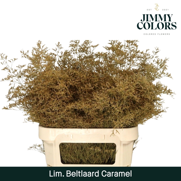 <h4>Lim Bel L90 Caramel</h4>