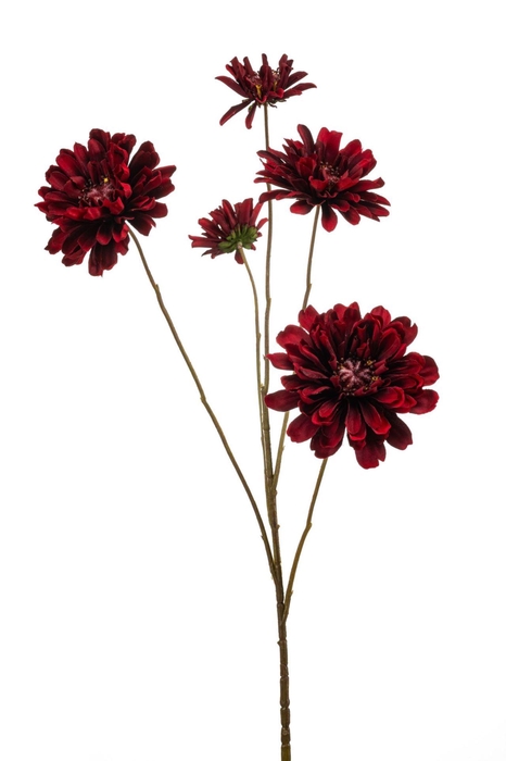 <h4>Zinnia spray red 90cm</h4>