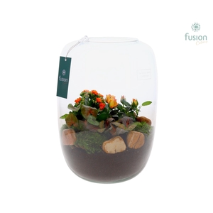 Green Bottle Isabella XLarge met arrangement