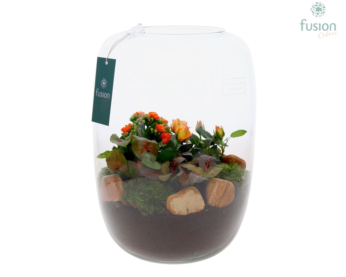 <h4>Green Bottle Isabella XLarge met arrangement</h4>