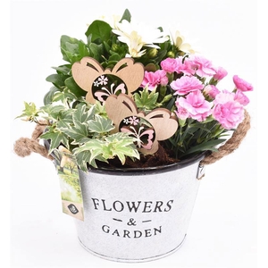 Zink teil Flowers & Garden 18cm