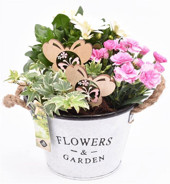 <h4>Zink teil Flowers & Garden 18cm</h4>