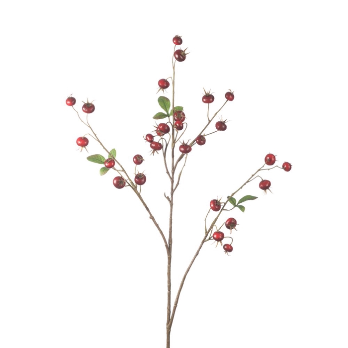 AF Rosehip Pumpkin Sp L102cm R