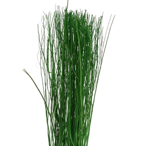 Droogdeco Yanagi branch 250g 85cm