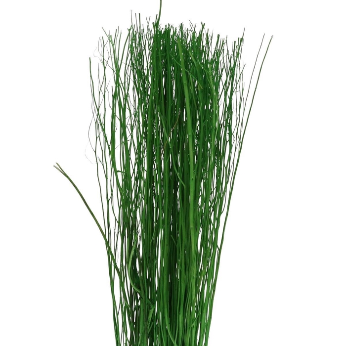 <h4>Yanagi branch 250g</h4>