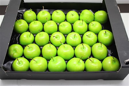 <h4>Waxappel Mint Groen</h4>