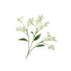 Flower Branch Cream