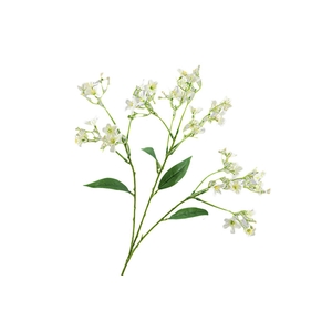 Flower Branch Cream