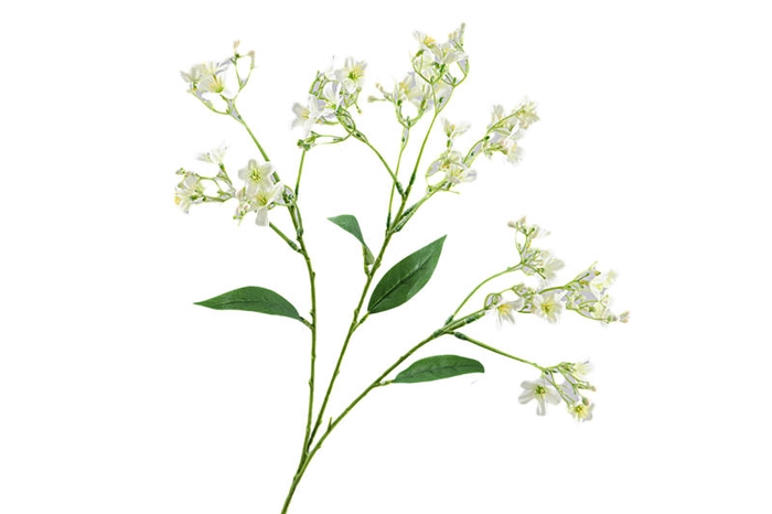 <h4>Flower Branch Cream</h4>