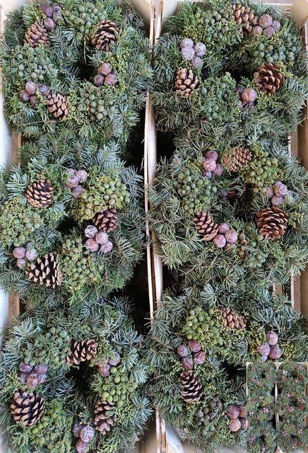 <h4>KRANS ADVENT#</h4>