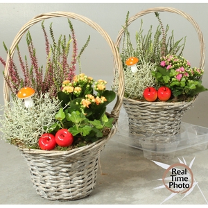 ARR TUINPLANTEN