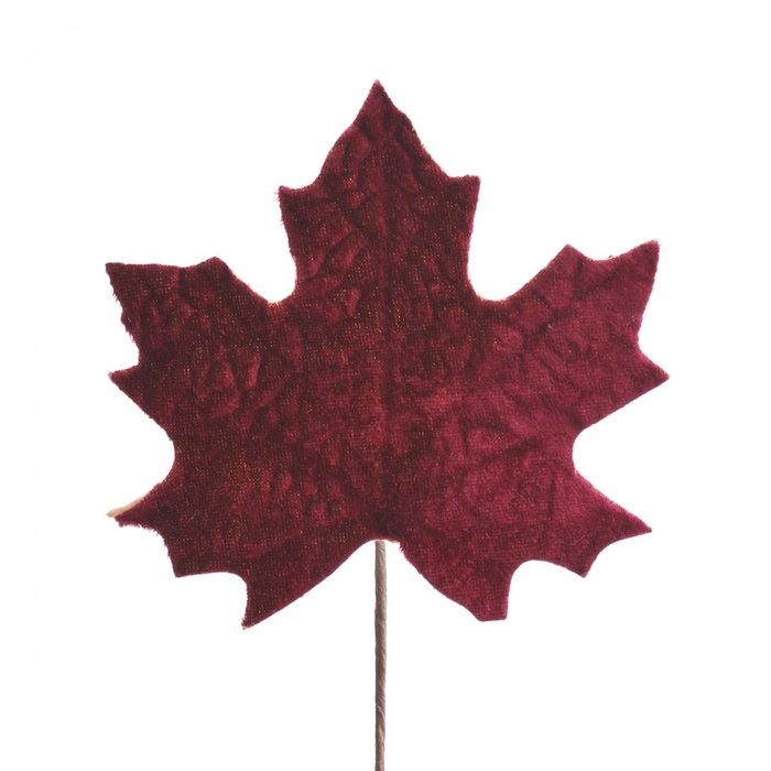 <h4>Autumn 10cm Leaf 13cm</h4>