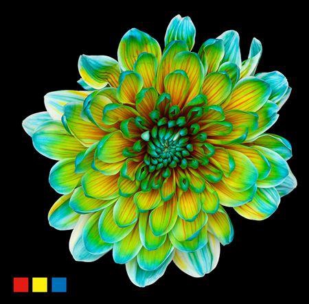 <h4>Chr T Altaj Curacao</h4>