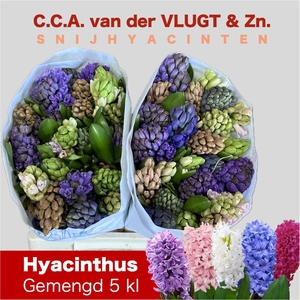 HYAC GEM 5 KLEUREN