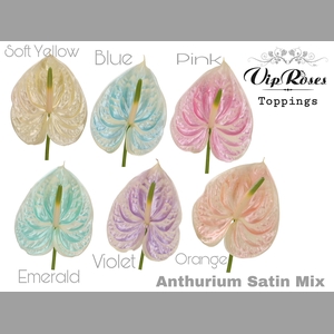 ANT A SATIN MIX