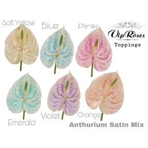 Ant A Satin Mix